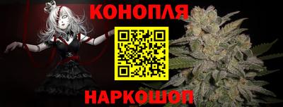 сатива Кинель