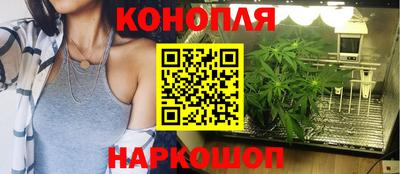 сатива Кинель