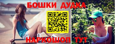 сатива Кинель