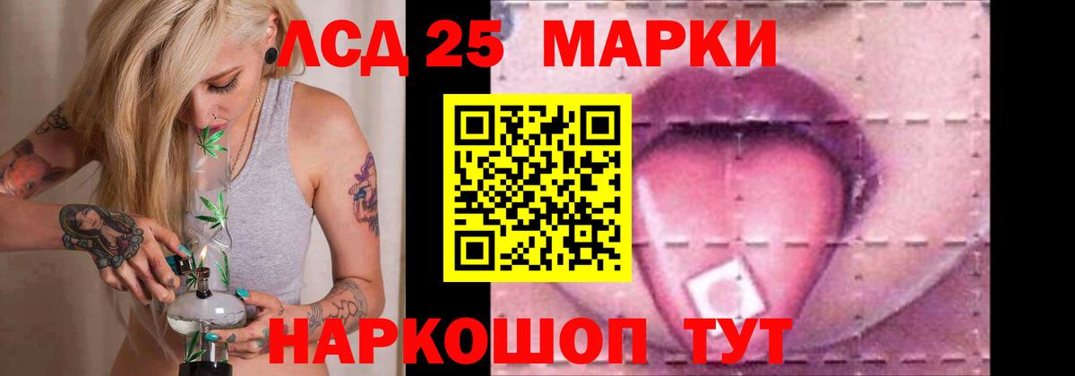 Курчалой  Лсд 25 экстази кислота  Вход с VPN  LSD-25 экстази кислота 