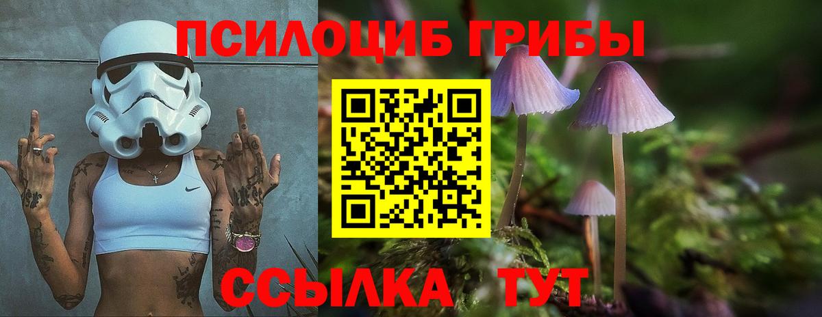 Галлюциногенные грибы Psilocybe  Псилоцибиновые грибы мицелий  Вход с VPN  Курчалой 