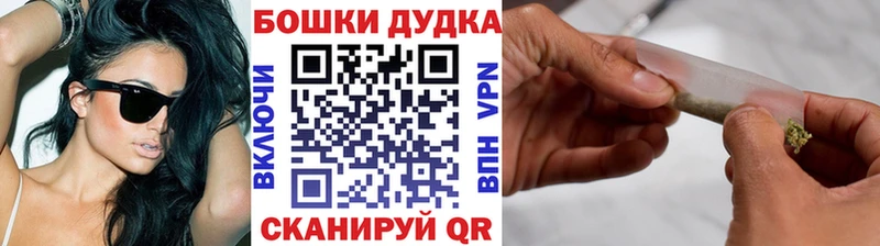 цены наркотик  Курчалой  даркнет официальный сайт  Канабис планчик 
